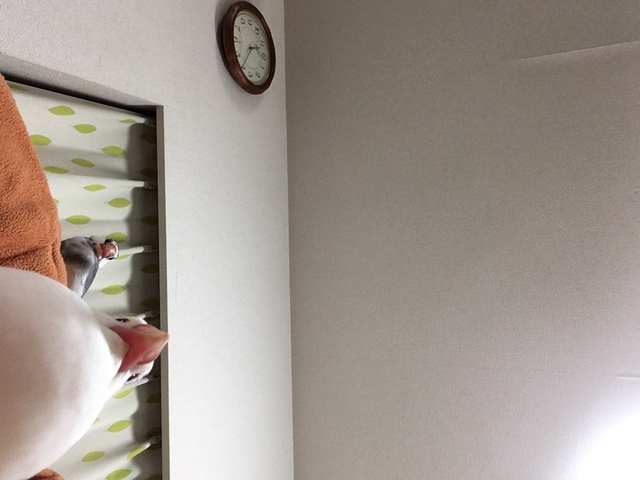 2018011402.JPG