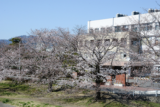 2019040401.jpg