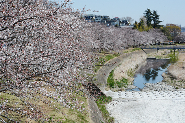 2019040402.jpg