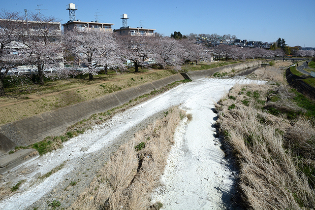 2019040403.jpg