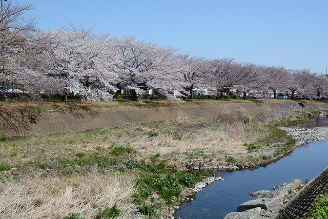 2019040404.jpg