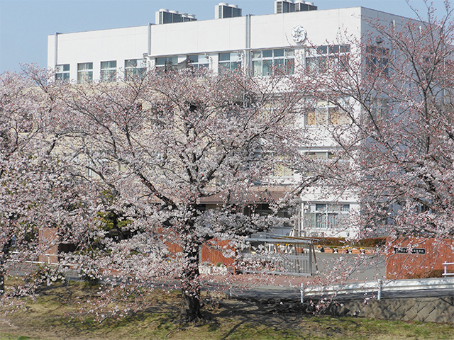 2019040601.jpg