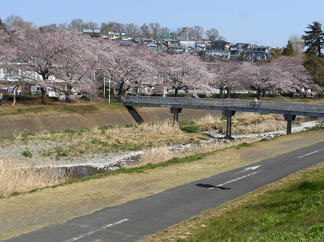 2019040603.jpg