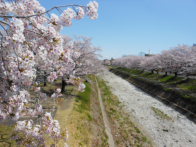 2019040902.jpg