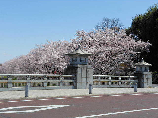 2019040903.jpg