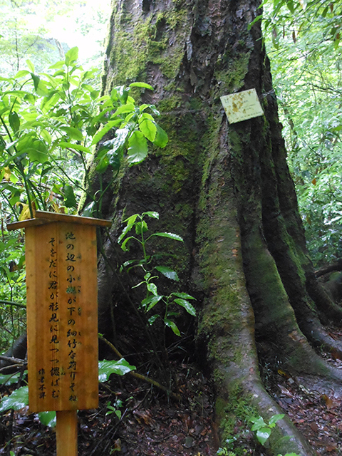 2019061004.jpg