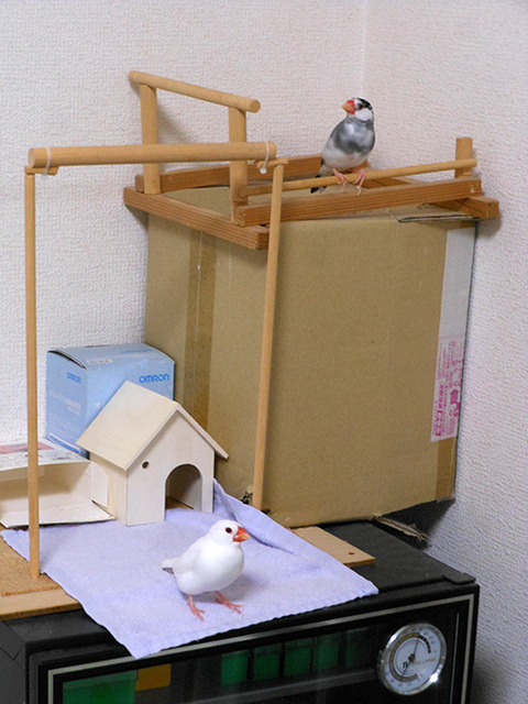 2019061009.jpg