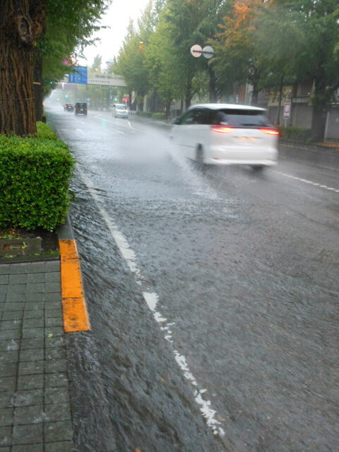 DSCN9163.JPG