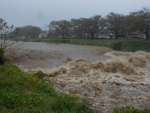 DSCN9175.JPG
